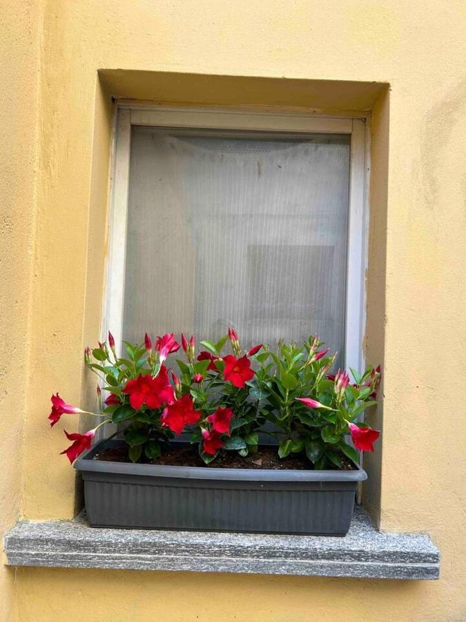The Green Nest Olginate Buitenkant foto